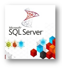 Aplicaciones Cliente Servidor basadas en SQL Server y Microsoft® Access®
